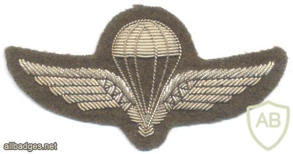 NORWAY Freefall Parachute jump wings, silver bullion, obsolete img27214