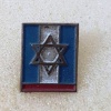 הבריגדה היהודית - גדוד- 1